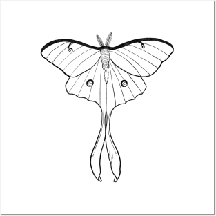 Minimalistic Luna Moth Design Posters and Art